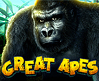 Great Apes